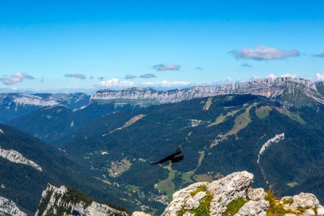 Le Mas Dauphinois Le Grand-Lemps Εξωτερικό φωτογραφία